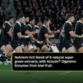 All Blacks Performance Greens 